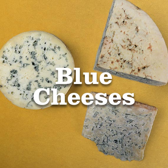 boton_azules_en.jpg